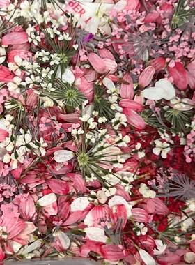 日系复旧怀旧混色干花碎花美甲彩色花瓣装饰品指甲配件混装花材