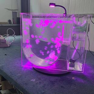 外贸亚克力水母缸专业赤月水母外贸款海洋馆