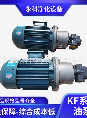 油泵KF20 2F10 A0ZV0 00AAE0 GDW+D1 F6 D15输送泵