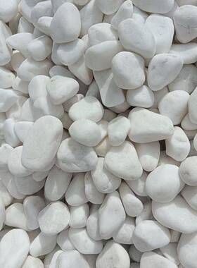 白枯色卵ZBC石白色砾石白石子山水造石景白卵庭院铺面用白石子