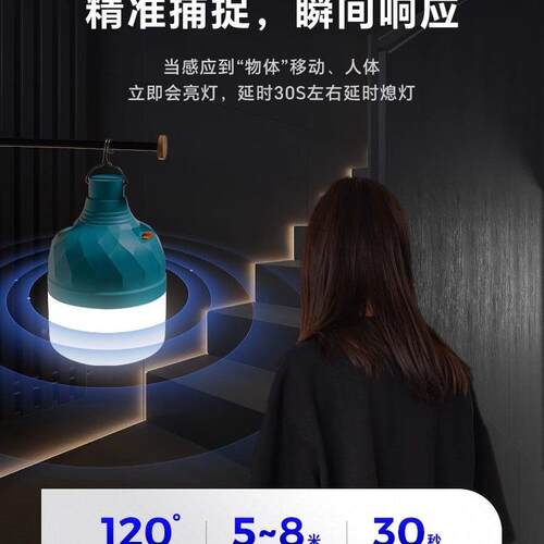 电感厕应灯楼道走廊所夜间不插线电充免KDP接雷达感应灯泡节能