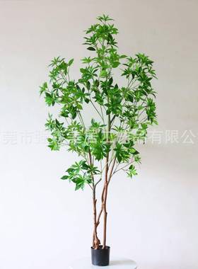 仿真马醉木饰树盆大型仿真植48902物室放内家居造景装摆椿树假栽