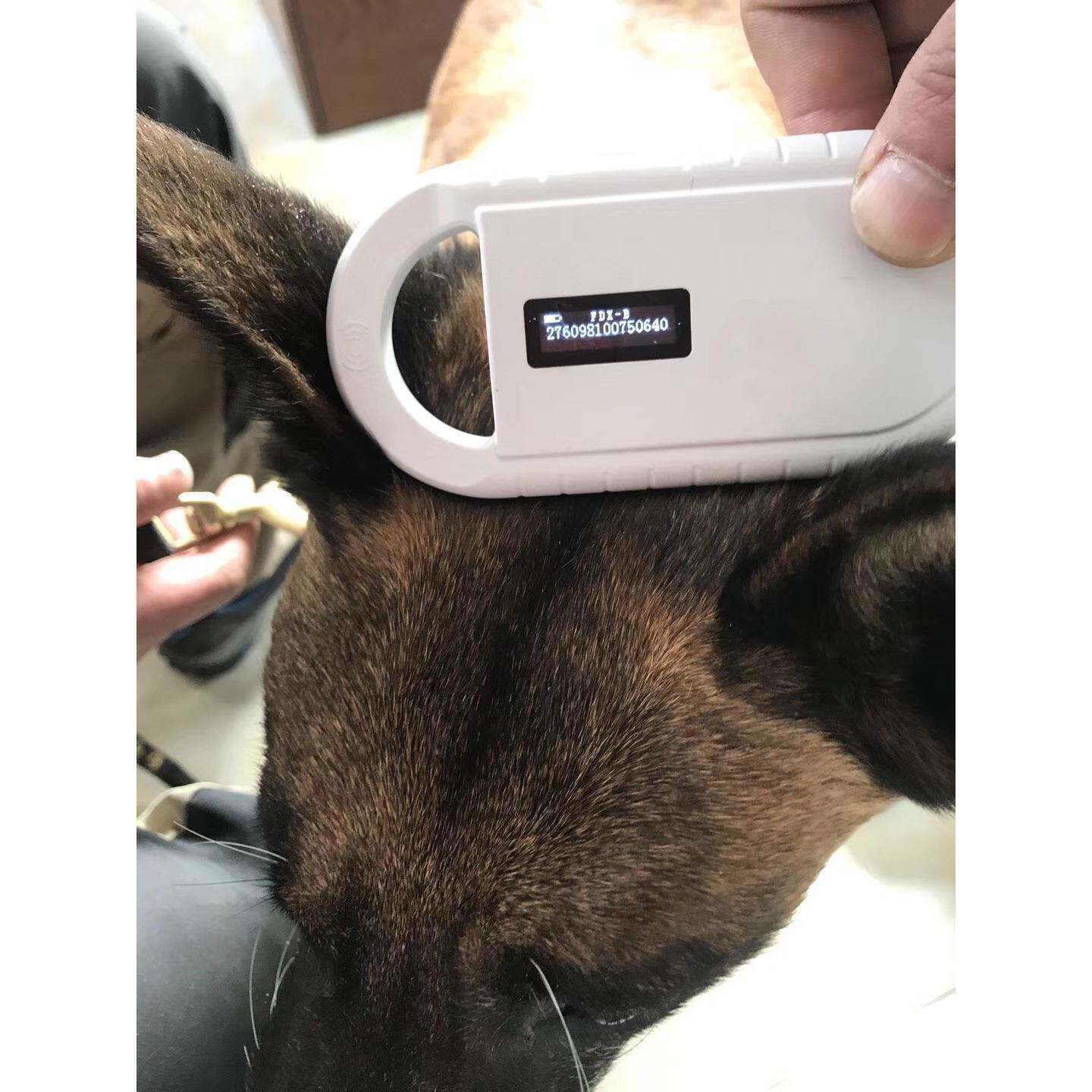 RFID宠物ID动物身份识别手持读卡器动物标签读卡器只读默认项中国