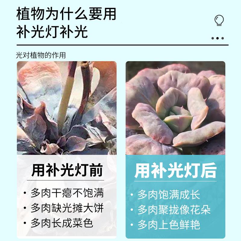 现货温室大棚植物灯生长灯大功率全1250W0鲜0TJHW光谱生灯补光灯
