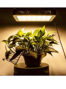 子LED植物生长灯1000w太阳绿光PLX夹植物灯生长灯种植色多肉补光