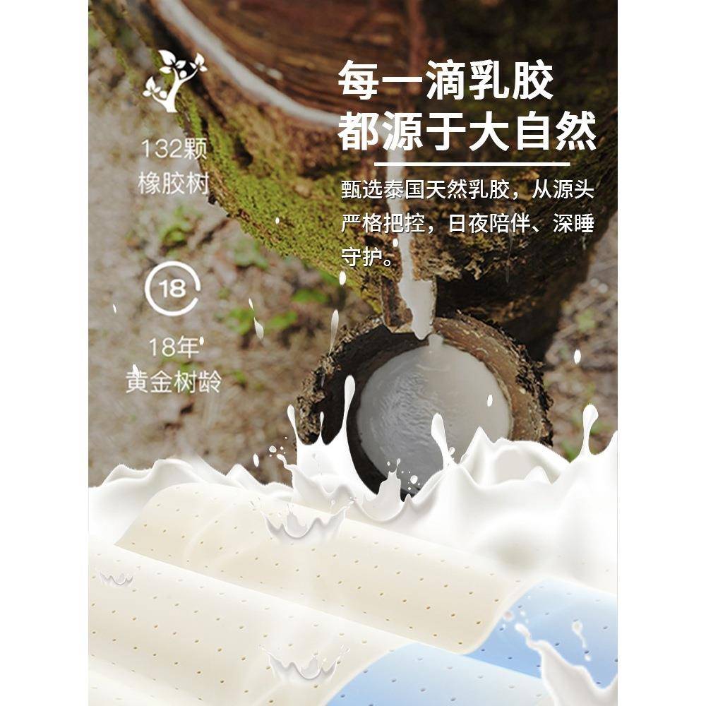 包邮海马床垫可叠定折制天然S型榻硬黄麻棕垫儿童榻米单人F77J667