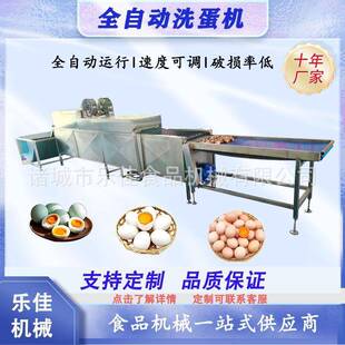 商用皮蛋清洗机咸鸭蛋包灰蛋洗蛋机全自动鲜鸡蛋鹅蛋清洗设备
