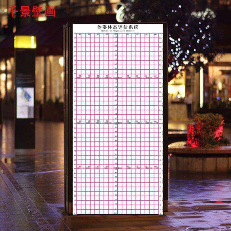 61K3体态评估表工作室健身房瑜伽馆墙纸壁纸体测图私教评估图壁画