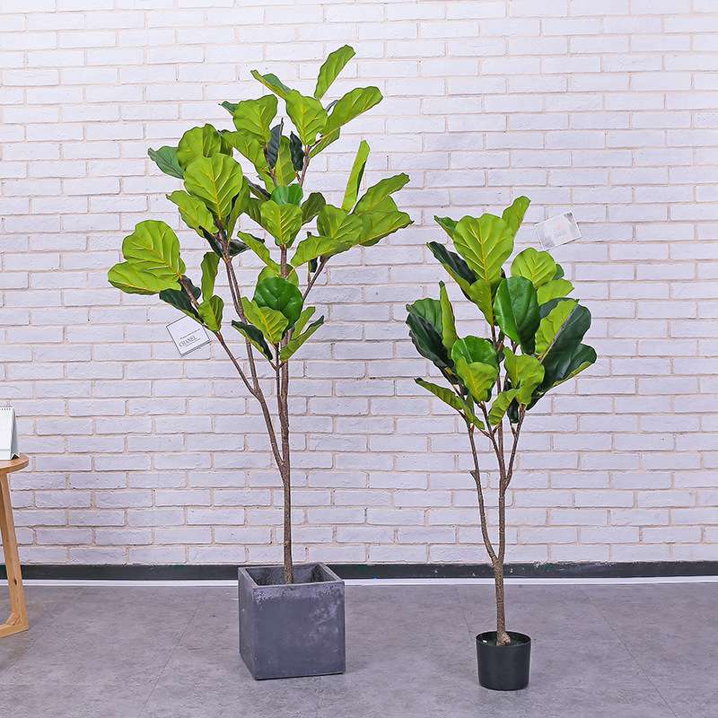 亚马孙热卖仿真琴叶榕盆栽客厅落地大型绿植盆景室内装饰家居假树