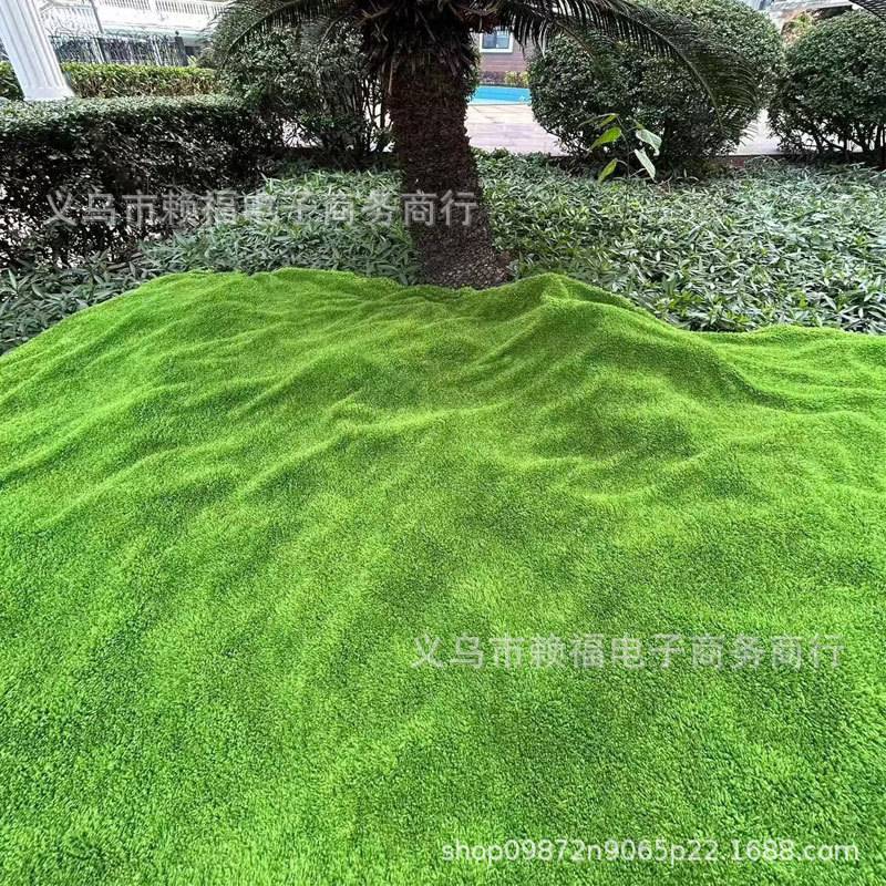 苔藓仿真白发藓大灰藓永生苔仿真星星藓微景观短绒藓植物庭院草皮