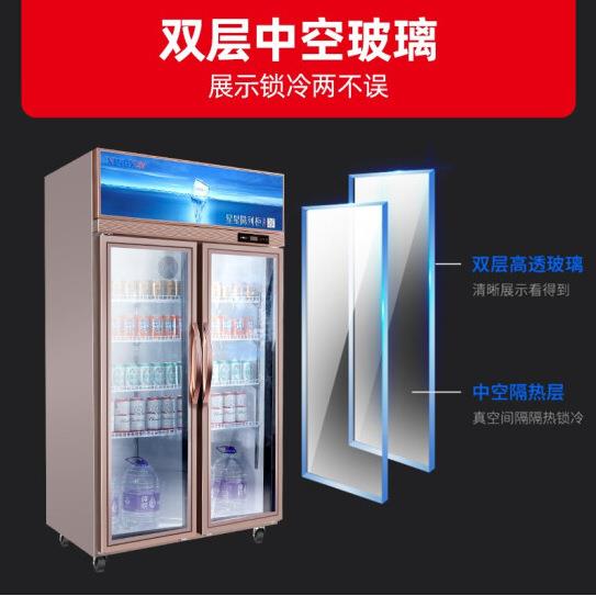 星量星柜展示264式柜冷藏双门饮料冰商用便利店超市大容立啤酒保