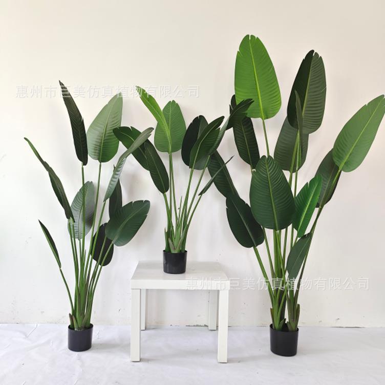 大仿真绿植组合蕉仿真树盆栽室内装饰假-树植物芭外树散型尾葵