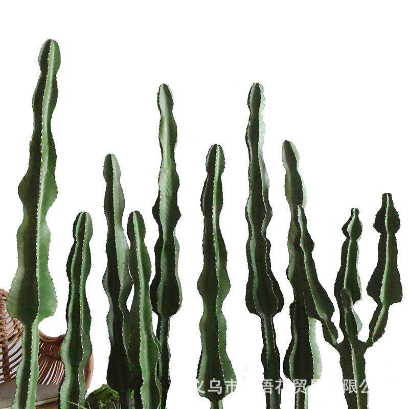 仿假仙人约掌绿植盆装饰花槽栽摆件拍SAL真照墙简背景沙漠植物盆