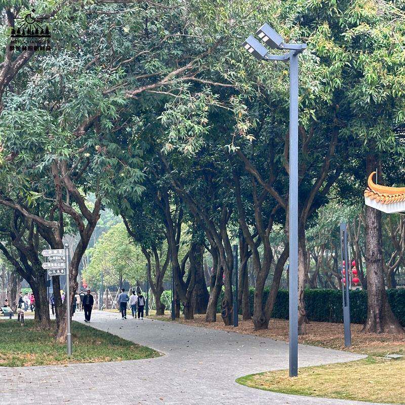 双头高杆场灯8米中杆球停车场学篮场体育NGA场广场照明方球案设校