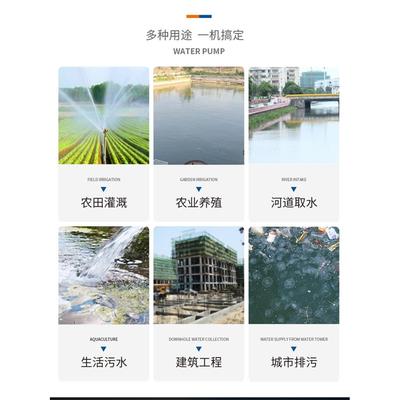污水泵2RGZ20v排污泵小型泵家用潜水泵380V切割粪浆化粪泥池抽抽