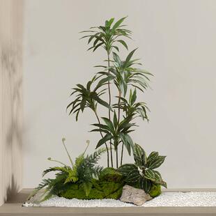 装饰树橱假植景仿真绿植观造景树旅人蕉室内物客摆件厅窗仿真绿植