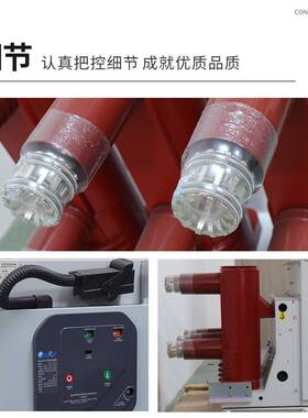 VS1真空断路器ZN6空3(VS1)-高1/63066-225户内压真断路器VS1