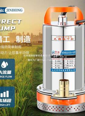 巾虹直潜水泵12V2448V0V72V高扬程农用流电车三轮车浇地WIXV6抽水