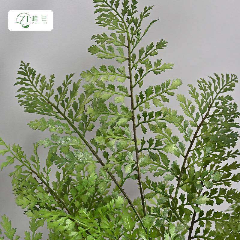 真黑骨芒蕨树家居软装仿造GRZ商场橱窗工程家源头厂一件景黑骨芒