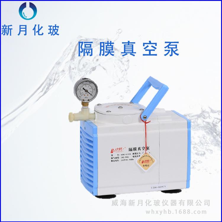天津津腾GM-0.33A(无油)隔膜真空泵实验室抽气泵防腐型