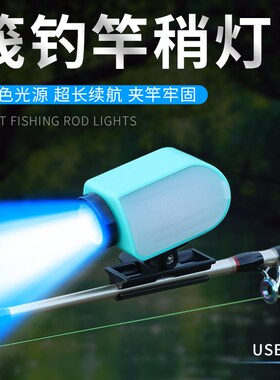充电筏钓灯晚上LElD夜钓灯诱鱼灯钓鱼蓝光灯桥钓灯桥筏灯筏竿稍灯