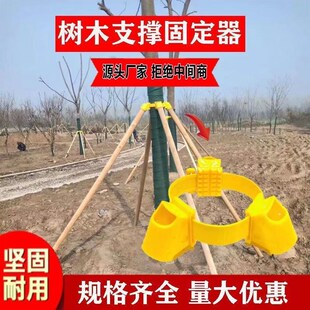 树木支撑固定器支撑架杆杉木松木杨木棍园林绿P化防风工程稳定支