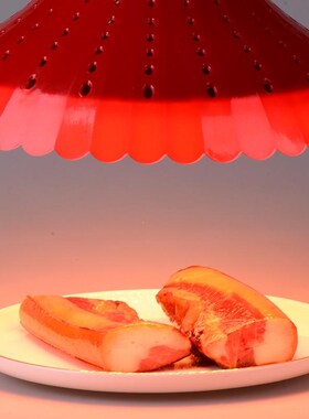 12-8a5Vled水果生鲜灯夜市摆摊猪肉灯熟食卤菜电瓶灯调光灯应急灯