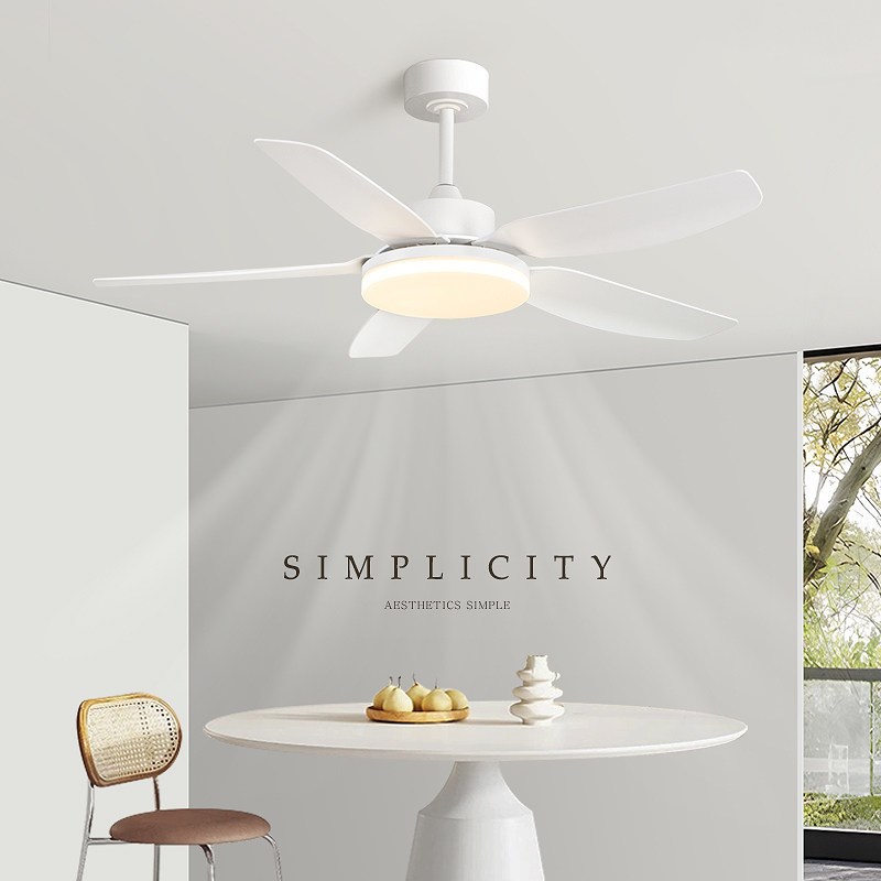 风扇灯2024新款客厅吊扇灯餐厅灯风扇一体变频护眼吊扇带风扇吊灯