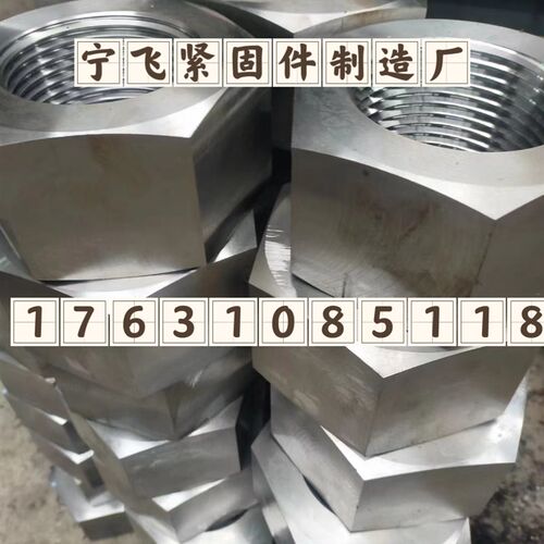 特大高强度螺母8级10级12级定做螺母/六角螺母/定制厂家/异型螺母