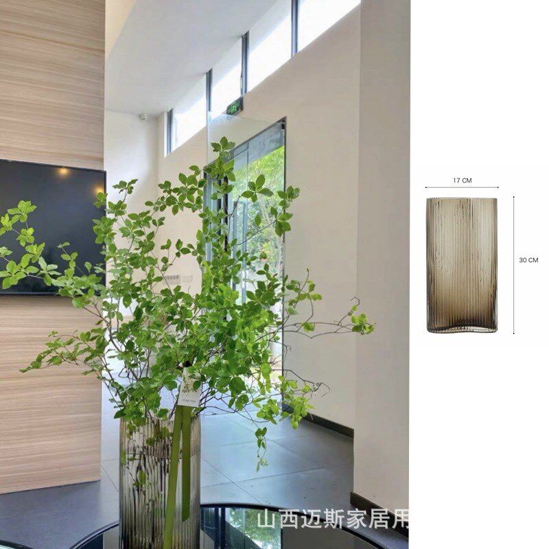 大口径玻璃花瓶透明宽口广口敞口大口客厅插花摆件轻奢马醉木脚印图片