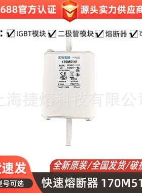 170M5141 170M5142 快速熔断器  保险丝 电子元器件 量大价优