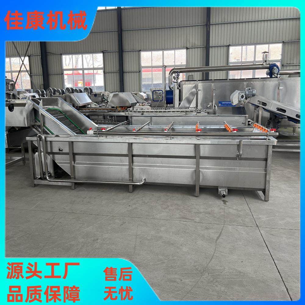 厂家供应葡萄清洗机 蓝莓干杏干气泡清洗设备 可提升式喷淋清洗机