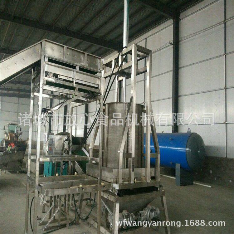 香菇块压榨机PLC控制酱菜压榨机sus304食品级不锈 可根据需求制做,搬运/仓储/物流设备,登车桥,淘宝优惠券,粉丝福利购,淘宝优惠卷