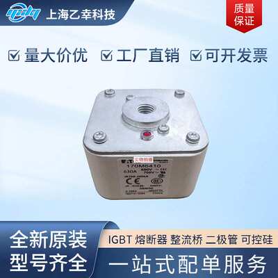 巴斯曼熔断器  170M6418 170M6419 170M6420 170M6421 170M6422