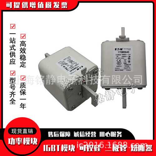 170M8500 170M8501 170M8502 170M8503 巴斯曼熔断器现货170M8504