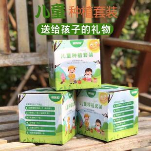 儿童种植小盆栽向日葵花种籽子四季樱桃萝卜豌豆番茄种孑学生植物