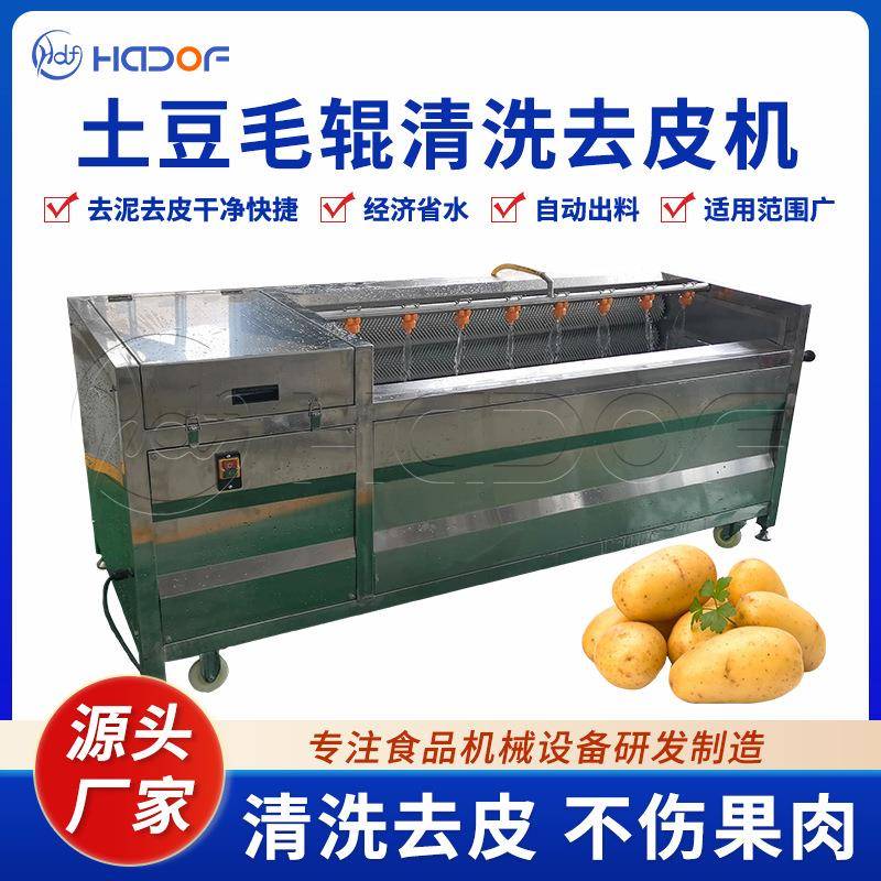 土豆去皮毛辊清洗机洋葱马铃薯蔬菜洗菜机商用大型蔬菜清洗设备
