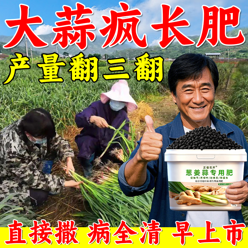 大蒜专用肥料葱姜蒜专用肥料