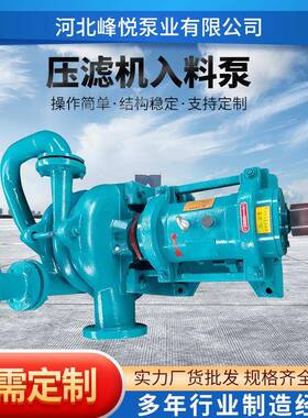 压滤机入料泵泥浆泵50ZJW-65SYA80ZJE100ZJW泥浆进料泵渣浆泵