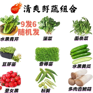 新鲜果蔬组合套餐套装蔬菜水果青芹菠菜面条菜豆芽苗菌菇秋葵套菜