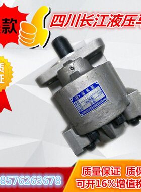 四川长江液压齿轮油泵CBXF3032-1L齿轮泵 吊车专用液压泵 高压泵
