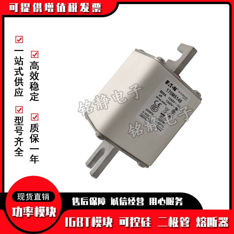 170M5013 170M5014 170M5015 170M5016 170M5017熔断器170M5018