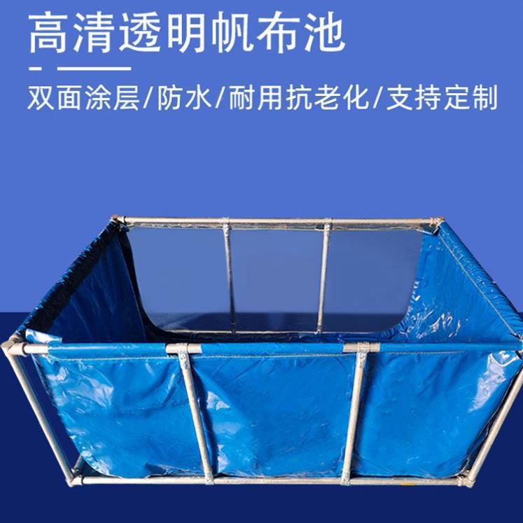 水箱院塑料透明不锈养钢水族鱼箱折叠锦鲤暂养池庭鱼54帆布鱼池支