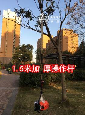 采棘核坚桃板栗震动打果机山萸肉打枣机沙橄榄OH430果收获摘果机