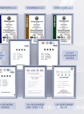 西上测监海大避雷器在线器JCQ-HWSC1型