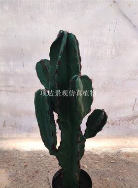 仿真仙人柱仙人掌盆栽内阳台梯楼口室玄落地造景EHO摆件关假绿植