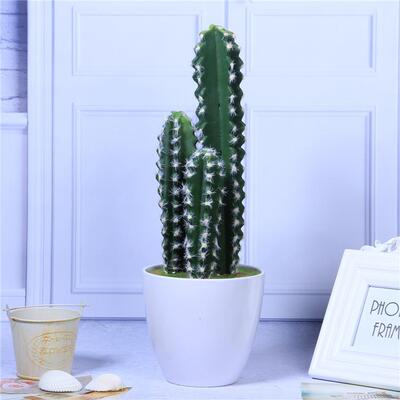 真花仙人柱仙掌大盆景FYI假人花盆栽家庭园林仿装饰沙漠热带植物