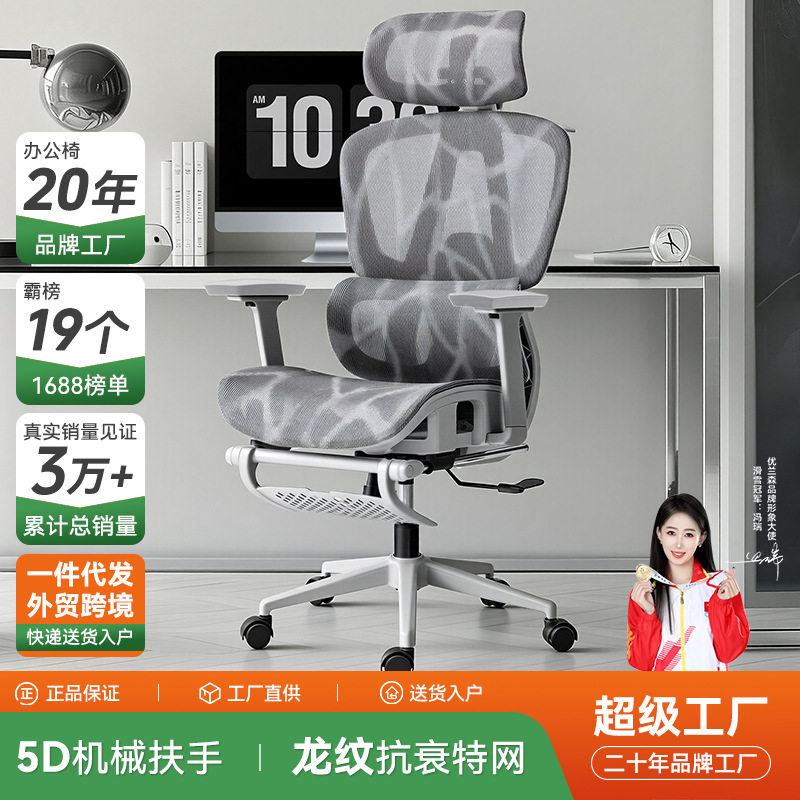 泰畅人体工学椅升降双背电脑椅家用办公座椅电竞椅久坐学习转椅子