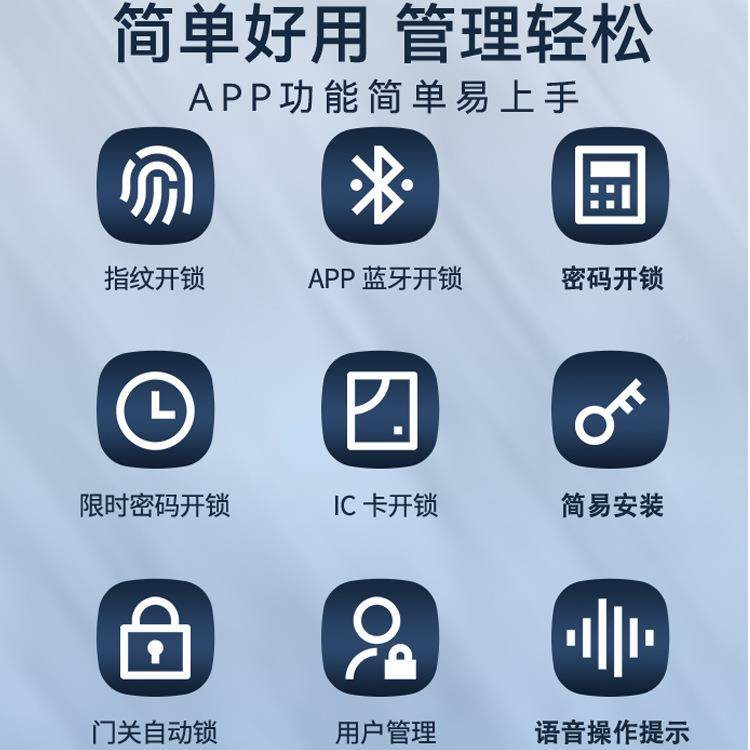 AP指纹柜门P锁室储物柜指桑拿锁抽无品牌/屉纹锁家用密码门办公铁