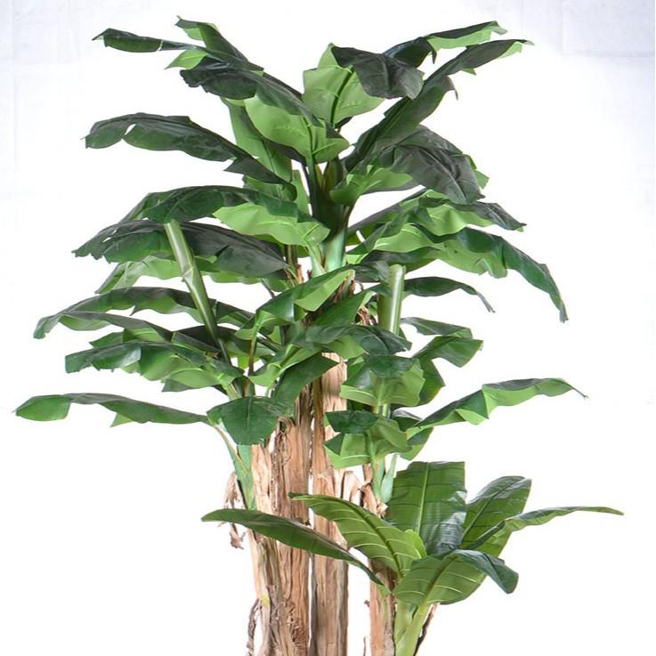 厂家绿树植料芭造蕉树盆栽室内装饰树人塑假无品牌/树植物